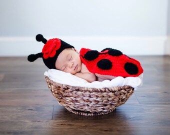 newborn ladybug costume