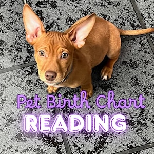 Puede incluir: Un cachorro marrón con orejas grandes y erguidas y frente arrugada mirando hacia arriba. El texto Pet Birth Chart READING está superpuesto en letras moradas y blancas en la parte inferior de la imagen, centrado sobre el cuerpo del cachorro.