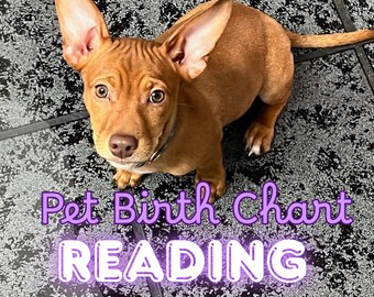 Personalized Pet Birth Chart Reading, Dog Astrology Reading, Cat Astrology Reading, Pet Astrology Gift, Custom Pet Zodiac Reading