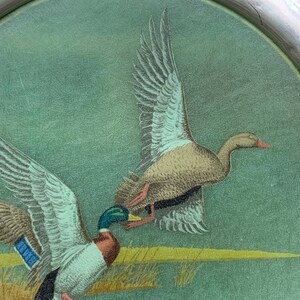 May include: A decorative plate featuring a detailed illustration of two ducks in flight. The ducks have brown, white, and blue feathers, with a green and yellow background. The plate has a silver rim and a textured surface.