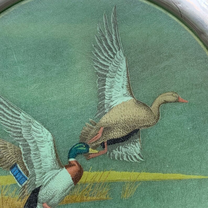May include: A decorative plate featuring a detailed illustration of two ducks in flight. The ducks have brown, white, and blue feathers, with a green and yellow background. The plate has a silver rim and a textured surface.