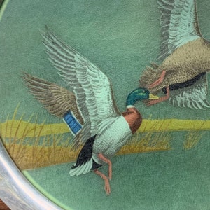 May include: A round decorative plate featuring a detailed illustration of two mallard ducks in flight. The ducks have brown, white, blue, and green plumage, set against a green background with yellow grass. The plate has a silver rim.