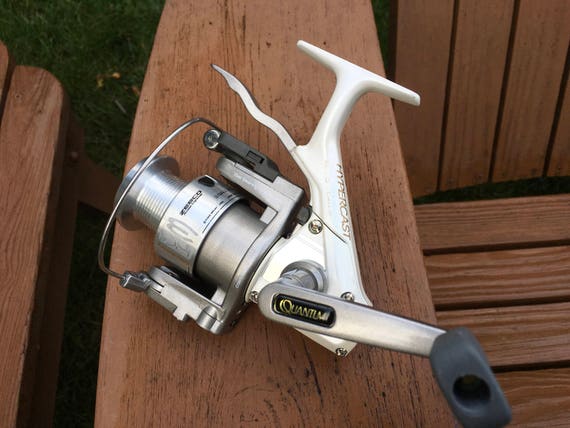 Quantum Hypercast HC3 Fishing Reel Zebco Worm Drive 3 Ball Bearing - Etsy