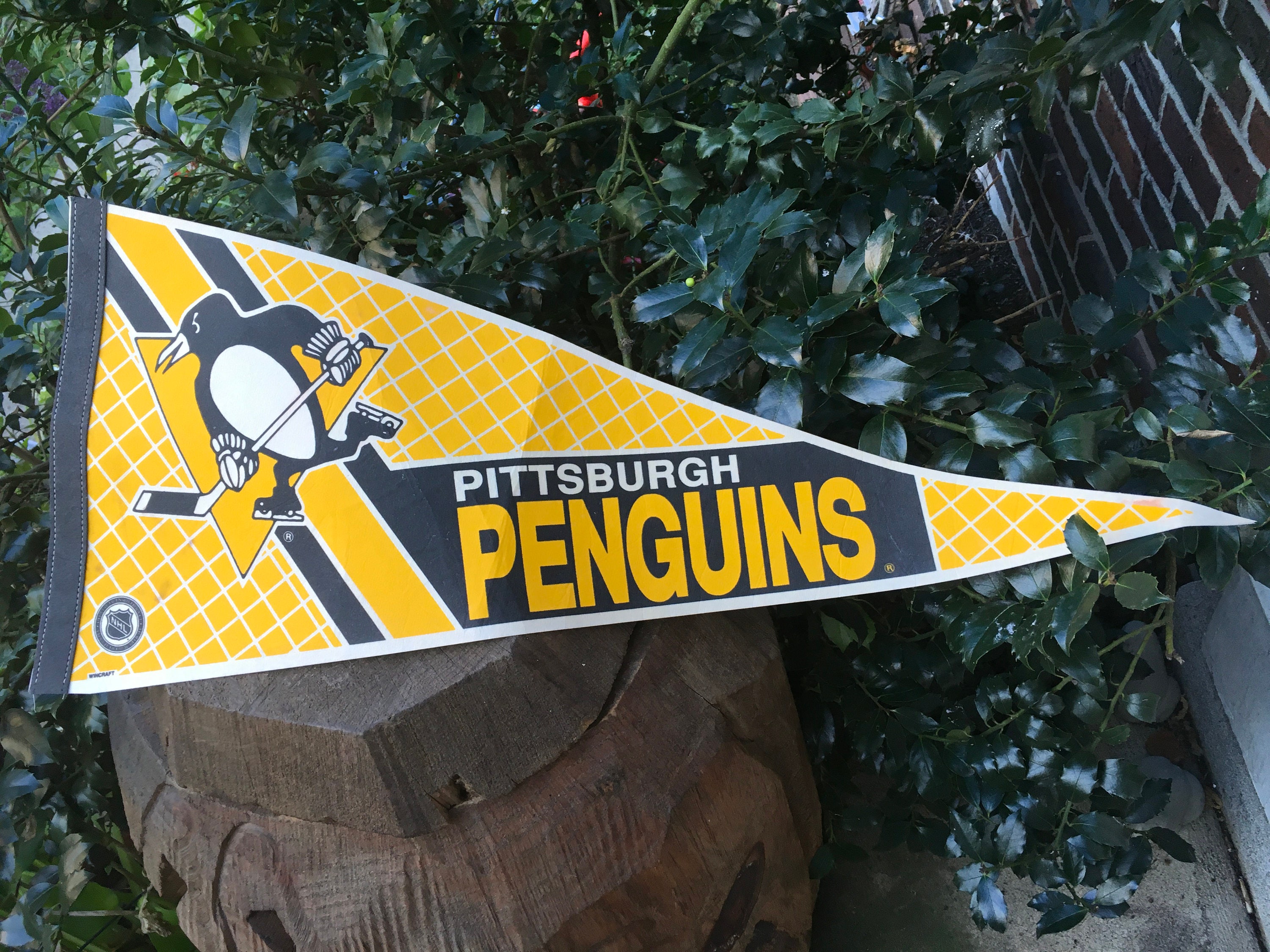 Drapeau Pittsburgh Steelers – 90x150 Cm (3x5 Ft) – Bannière Supporters – Neuf