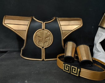 Dragon White Force Fighter Cosplay Armor/Props/Accessories