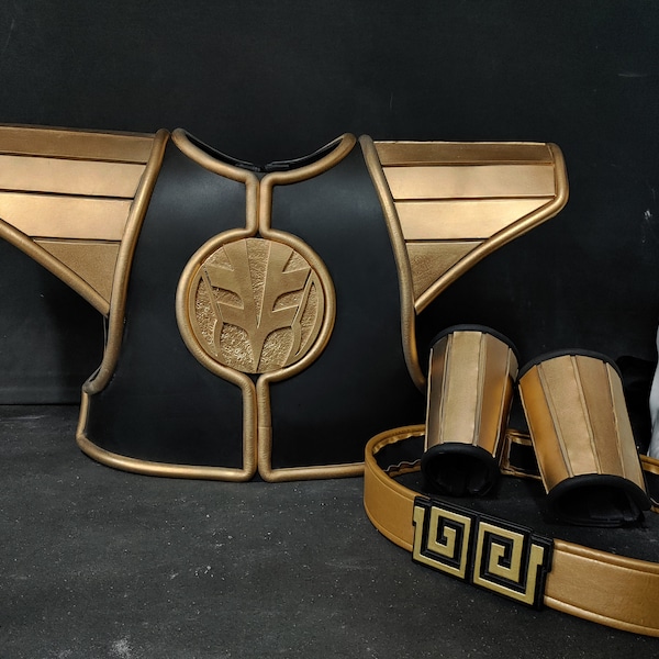 Armadura/Accesorios/Accesorios de cosplay de Dragon White Force Fighter