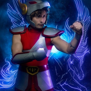 Saint Pegas complete armor cosplay inspired