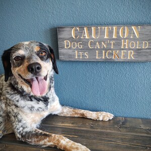 May include: A blue and brown spotted dog with a pink tongue sticking out is lying on a wooden surface. A sign behind the dog reads "CAUTION DOG CAN'T HOLD ITS LICKER".
