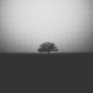 Godspeed Square Fine Art Print | BW Abstract Fine Art Print | Tree and Fog | Film Noir Print | Cinematic Wall Art | Rural Landscape Print