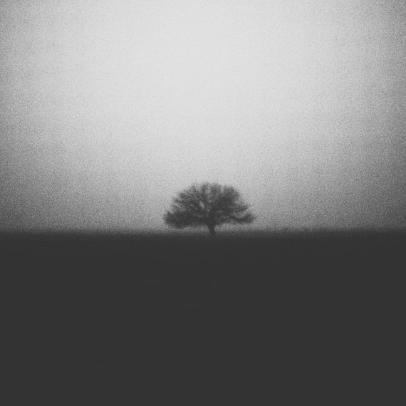 Godspeed Square Fine Art Print | BW Abstract Fine Art Print | Tree and Fog | Film Noir Print | Cinematic Wall Art | Rural Landscape Print