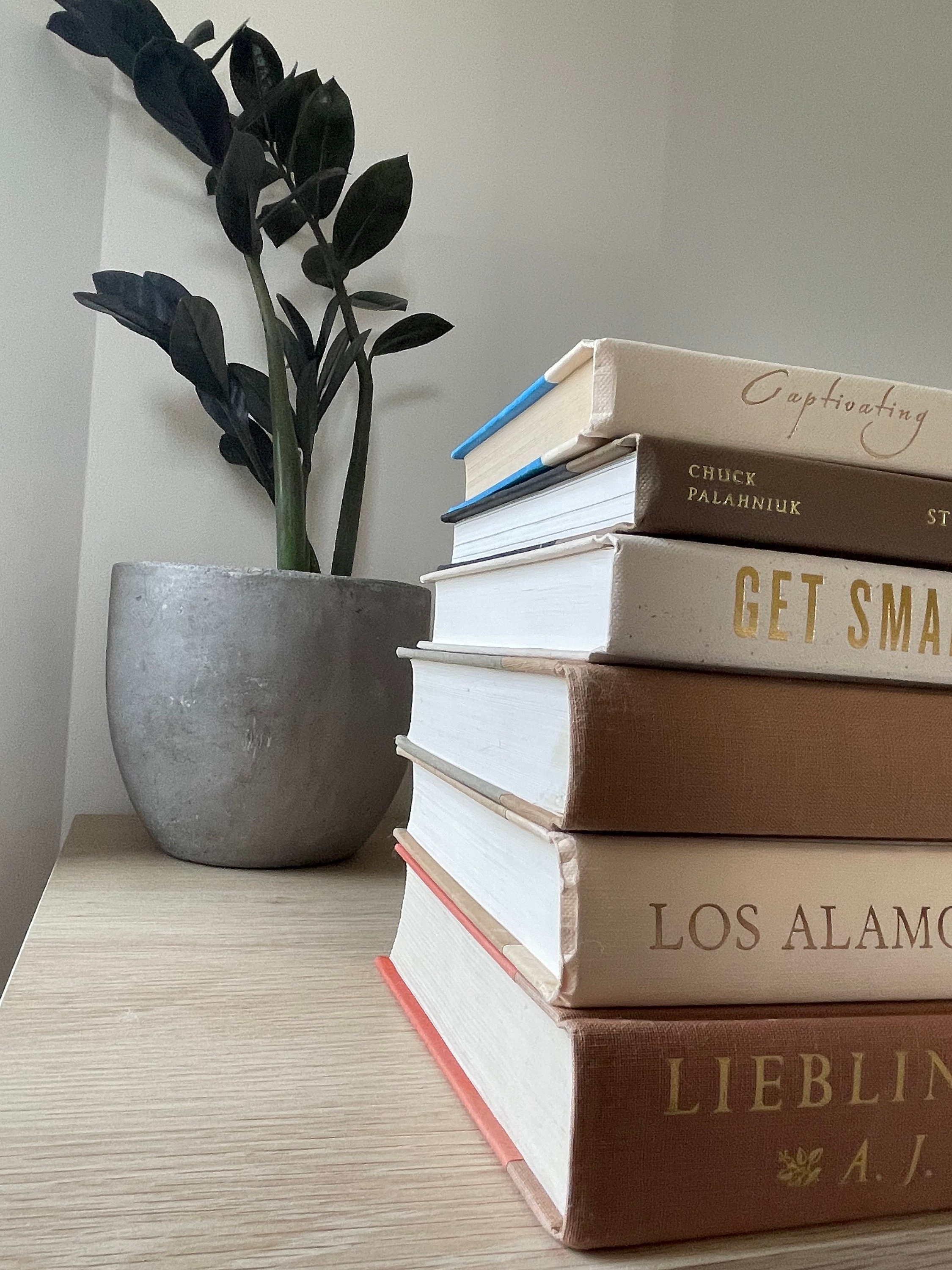 Book Stack Neutral Color Neutral Color Decorative Book Stack, Themed Book Set, Tan & Beige - Etsy