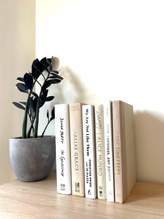 Beiges Deko-Buch-Set: Moderne Bücher für die Wohnungseinrichtung