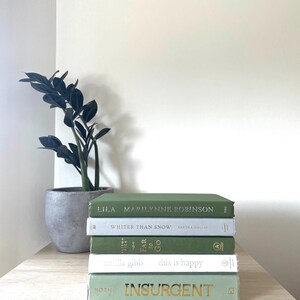Ensemble de livres décoratifs sauge et blanc : décoration d'intérieur à thème