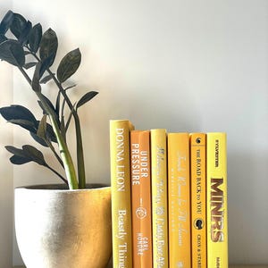 Peut inclure: Une collection de livres à couverture rigide aux tons jaune et orange, disposés verticalement. Les titres incluent "Beastly Things", "Under Pressure" et "MINRS". Un pot de plante avec des feuilles vert foncé et un pot doré est à gauche.