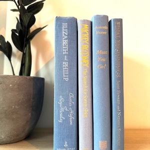 Lilac & Blue Decorative Book Set: Home Decor Staging Books