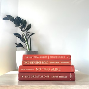 Orange book stack, decorative book stack, themed books, colourful books, book sets, blue books, home decor, modern decor, prop staging