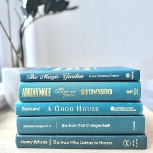 Teal Coloured book set, book bundles, decorative books, colour blocks, home decor, books for decor, decorative books, prop staging