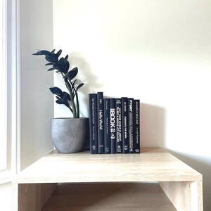 Schwarzer Bücherstapel mit silberfarbenem Buchrücken, moderne Bücherstapel, Themenbuchstapel, dekorative Bücher, nachhaltiges Design, Innendesign, Deko für Zuhause,