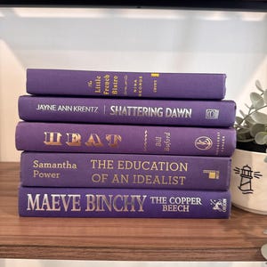 Purple Decorative Book Stack, Home Decor Staging Set, Home Accents