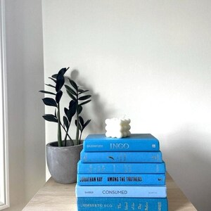 Hellblaues Dekoratives Bücher-Set: Themed Home Decor Inszenierung