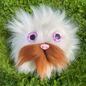 Pluizige witte en oranje Puffskein