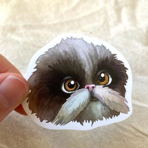 Sticker met bolletjes | Fanart van Hogwarts Legacy | Hoge kwaliteit