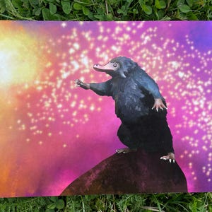 Shiny-Loving Burrow Beast – Mischievous Fantasy Creature Print