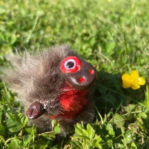 May include: A small, furry, red and brown creature with a large, white eye and a brown nose. The creature is sitting in a patch of green grass.