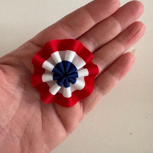 May include: A red, white, and blue rosette, held in a hand. The rosette is circular with a pleated design. The outer ring is red, followed by white and blue sections in the center. The rosette is approximately 2 inches in diameter.