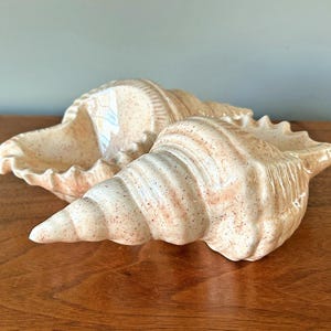 May include: Two ceramic seashells in a beige color with brown speckles. The shells are joined together and have a smooth, glossy finish.