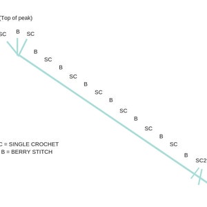 Crochet Berry Chevron Baby Blanket Pattern image 6