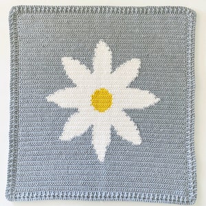 Crochet Daisy Baby Blanket Pattern