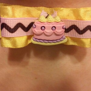 Birthday Cake Choker