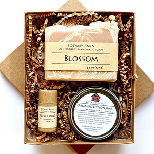 Bath & Body Spa Gift Set. 1 Large Organic Soap, Jojoba Lotion Bar, Lip Balm. Eco-Friendly Self Care, No Waste Plastic Free Skincare Present