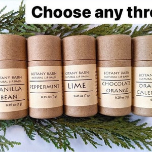 Paquet de 3 baumes à lèvres entièrement naturels et respectueux de l'environnement. Lot de baumes à lèvres bio dans des tubes en carton biodégradable, stick à lèvres sans plastique zéro déchet