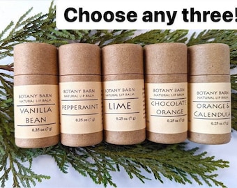 Paquete de 3 bálsamos labiales ecológicos y totalmente naturales. Bálsamo labial orgánico en tubo de cartón biodegradable. Bálsamo labial sin plástico y sin residuos.