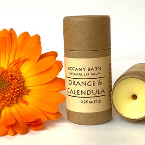 One Natural Eco-Friendly Plastic Free Lip Balm. Organic Lip Balm in Biodegradable Cardboard Tube, Orange, Vanilla, Mint, Lip Chap, Chapstick