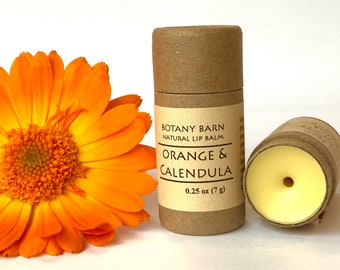 One Natural Eco-Friendly Plastic Free Lip Balm. Organic Lip Balm in Biodegradable Cardboard Tube, Orange, Vanilla, Mint, Lip Chap, Chapstick