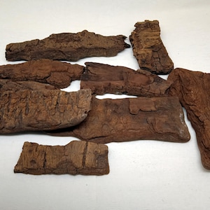 Driftwood poplar bark, Bulk Natural large driftwood pieces of bark, bark for a terrarium _ set of 9