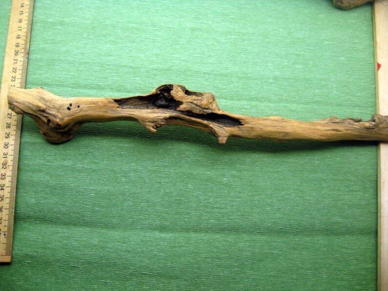 Natural tree branches decorative driftwood macrame branch wood Etsy