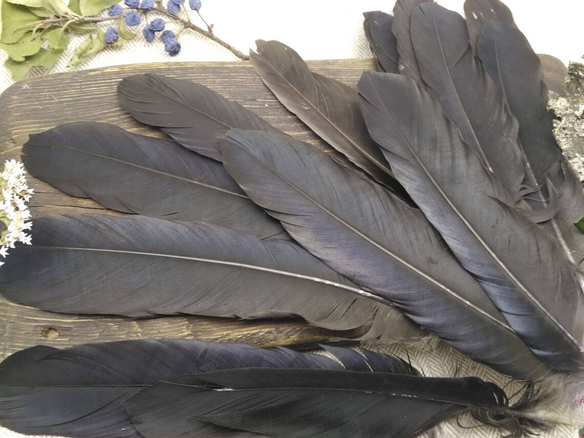 Crow feathers real raven black fetish natural for wreath Etsy