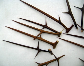 Ramas secas de acacia espinosa (7,5-10 cm): Decoración pagana, hechizos de protección - Juego de 10