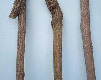 以下が含まれることがあります： 明るい青色の背景に、木目が特徴的な3本の木の杖が写っています。各杖はユニークな形状をしており、上部に「No1」、「No2」、「No3」の文字があります。杖の色は、明るい茶色から濃い茶色まで様々です。