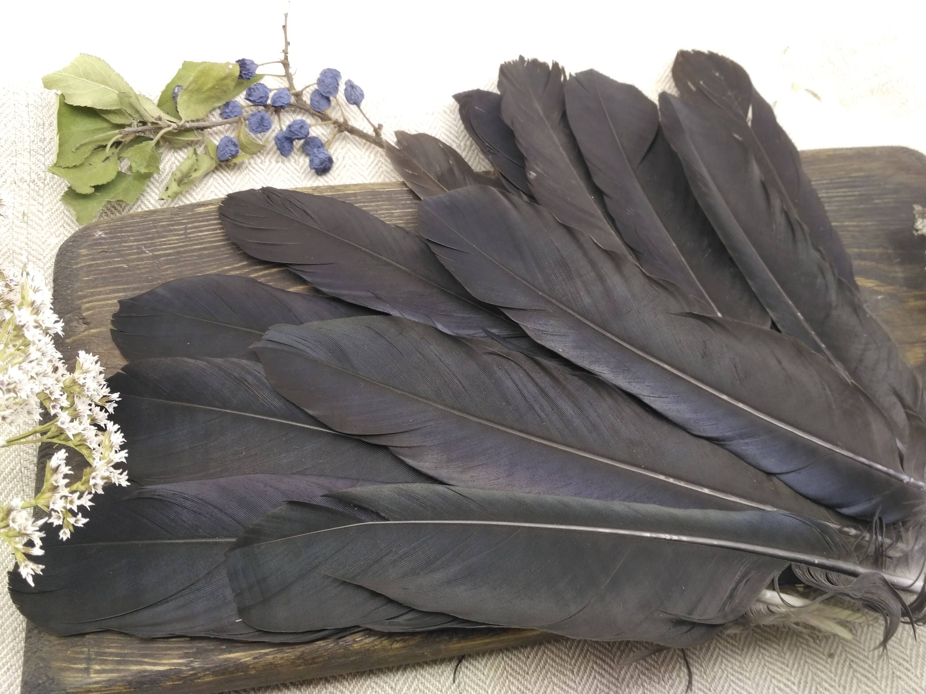 Crow feathers real raven black fetish natural for wreath Etsy