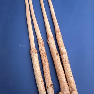 Birch Wand, birch Magic Wand, Unfinished Magic Wand, Magic Wand, sorcerer&#39;s tools_Price for one wand