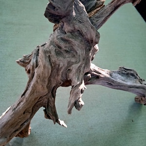 Ramas de madera a la deriva únicas para terrarios, artículos de floristería, artículos de artesanía naturales, piezas de madera a la deriva, decoración rústica