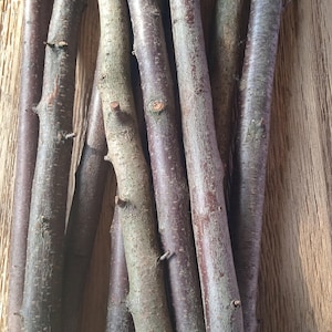 Schwarzdornäste Holz, Schwarzdornäste, Ast zum Basteln, 2er Set Ast