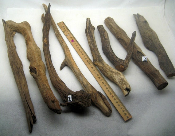 Raw 1 Driftwood Bird Claw Chicken Leg Natural Beach Wood Supply Driftwood Sticks Raven Claw Drift DIY Crafts Rustic Art Decor Crow