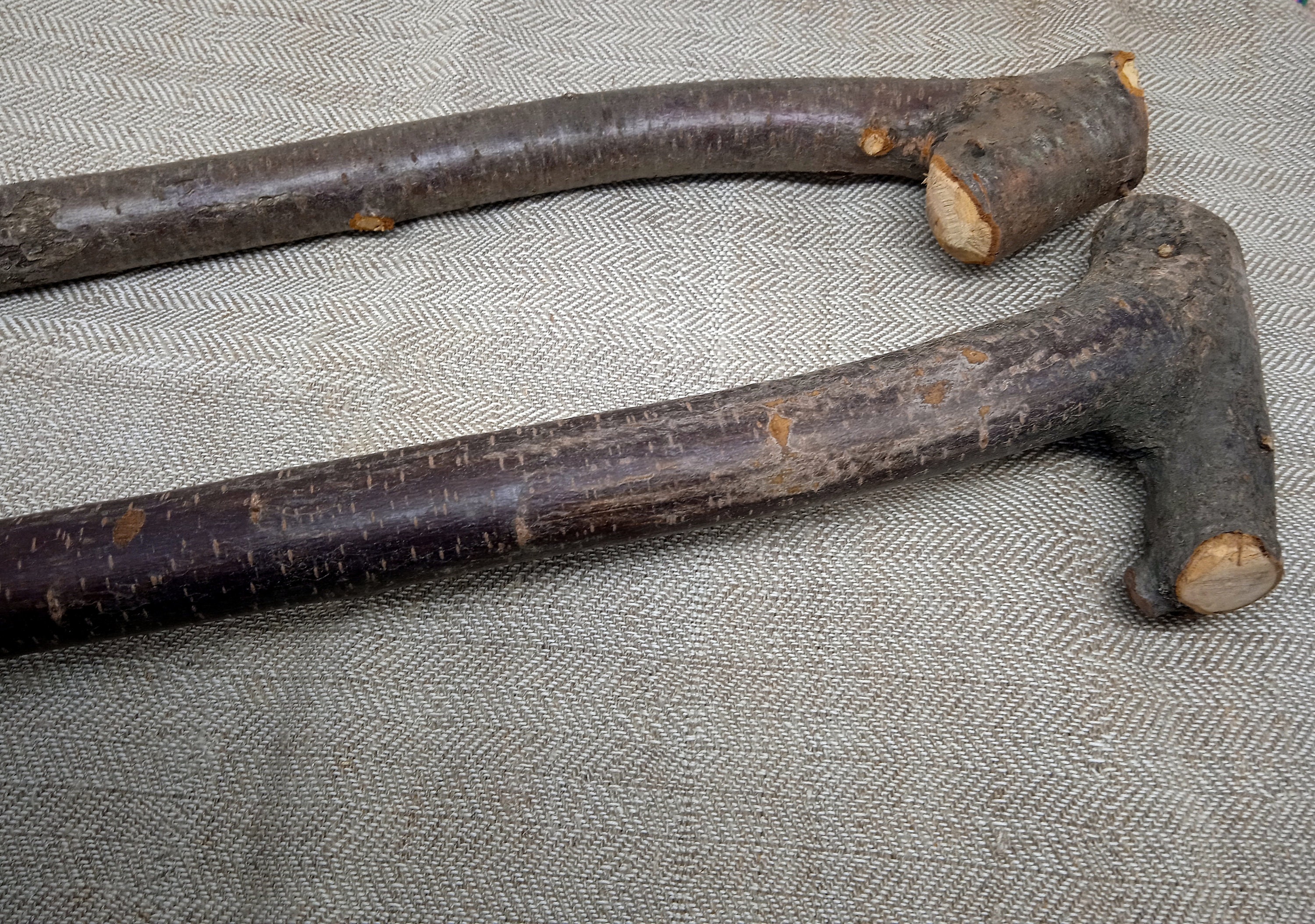 20 Blackthorn Blackthorn Cudgel Walking Sticks Etsy Australia