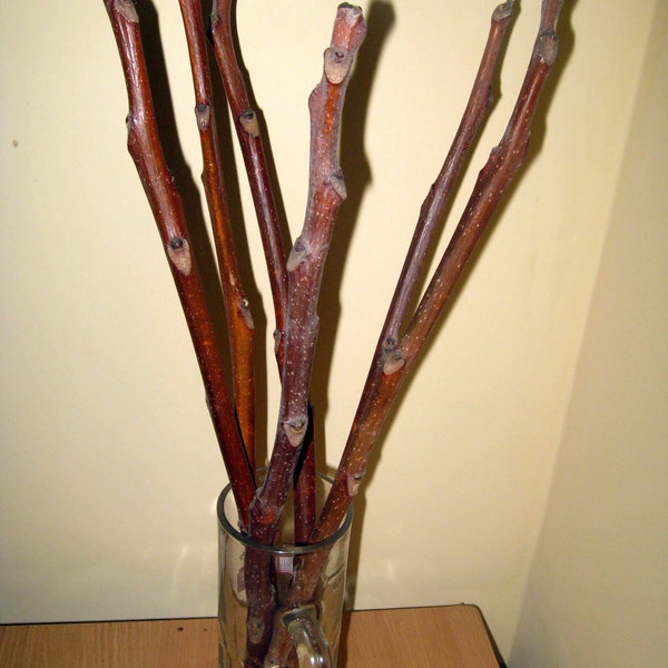 18"+ natural sticks for creativity, ailanthus sticks, Sticks for macrame _Set of 8